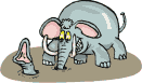 elefante buco terra.gif